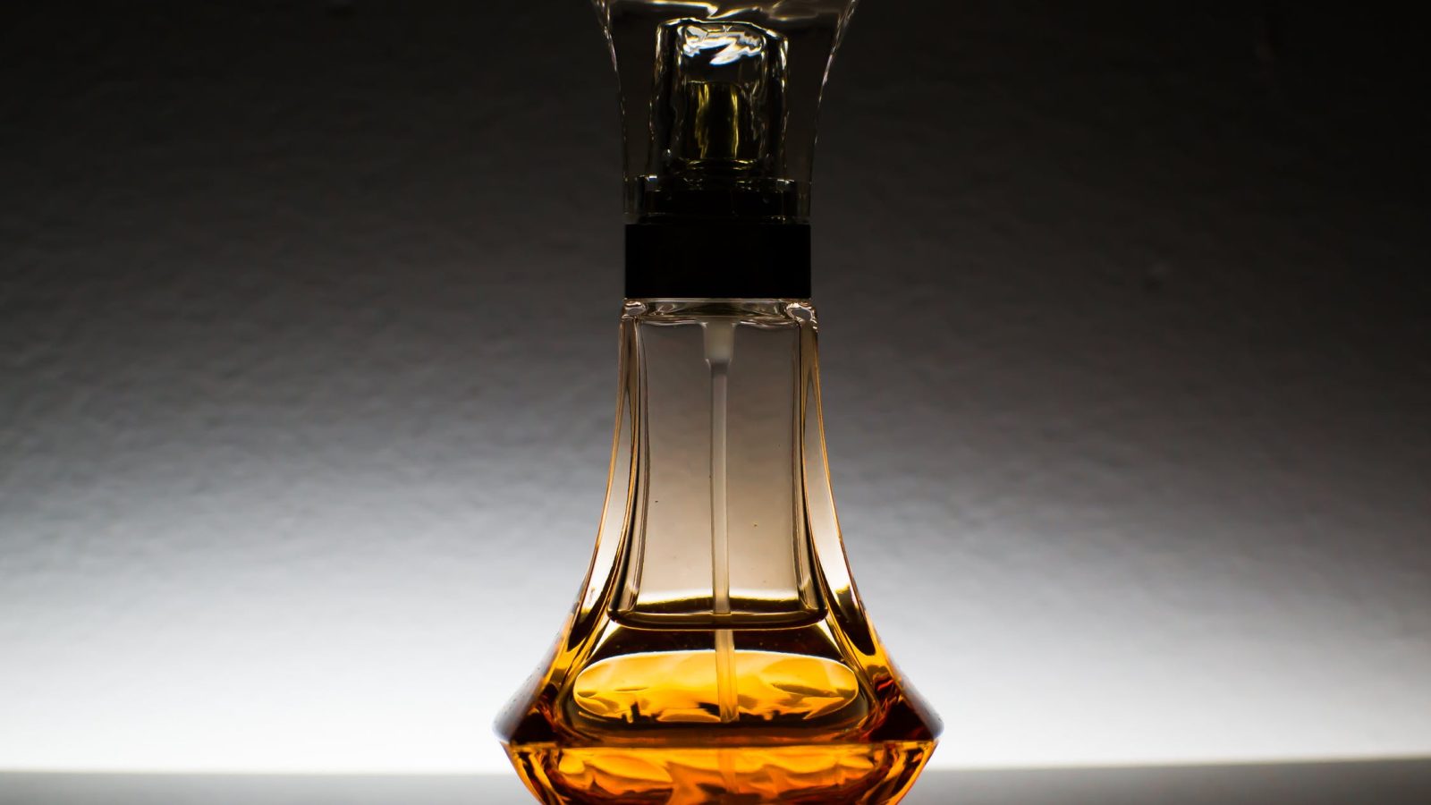 Top Brand new perfumes to add to your Collection Now!