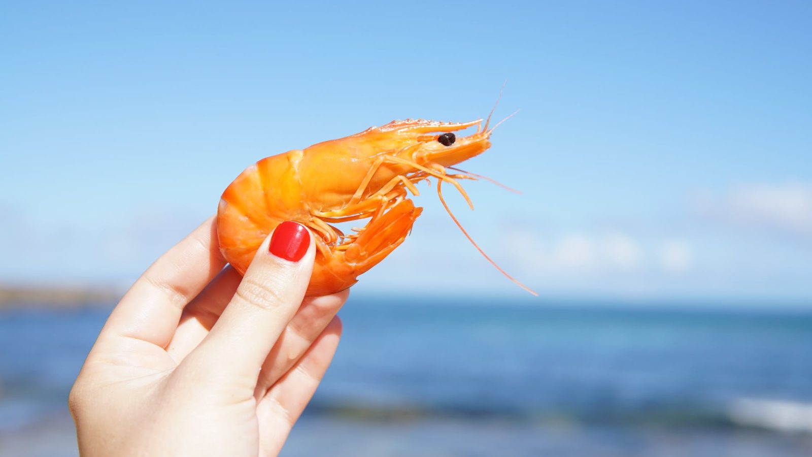 Food imports banned in China after Shrimp tested positive for corona virus – Latest update
