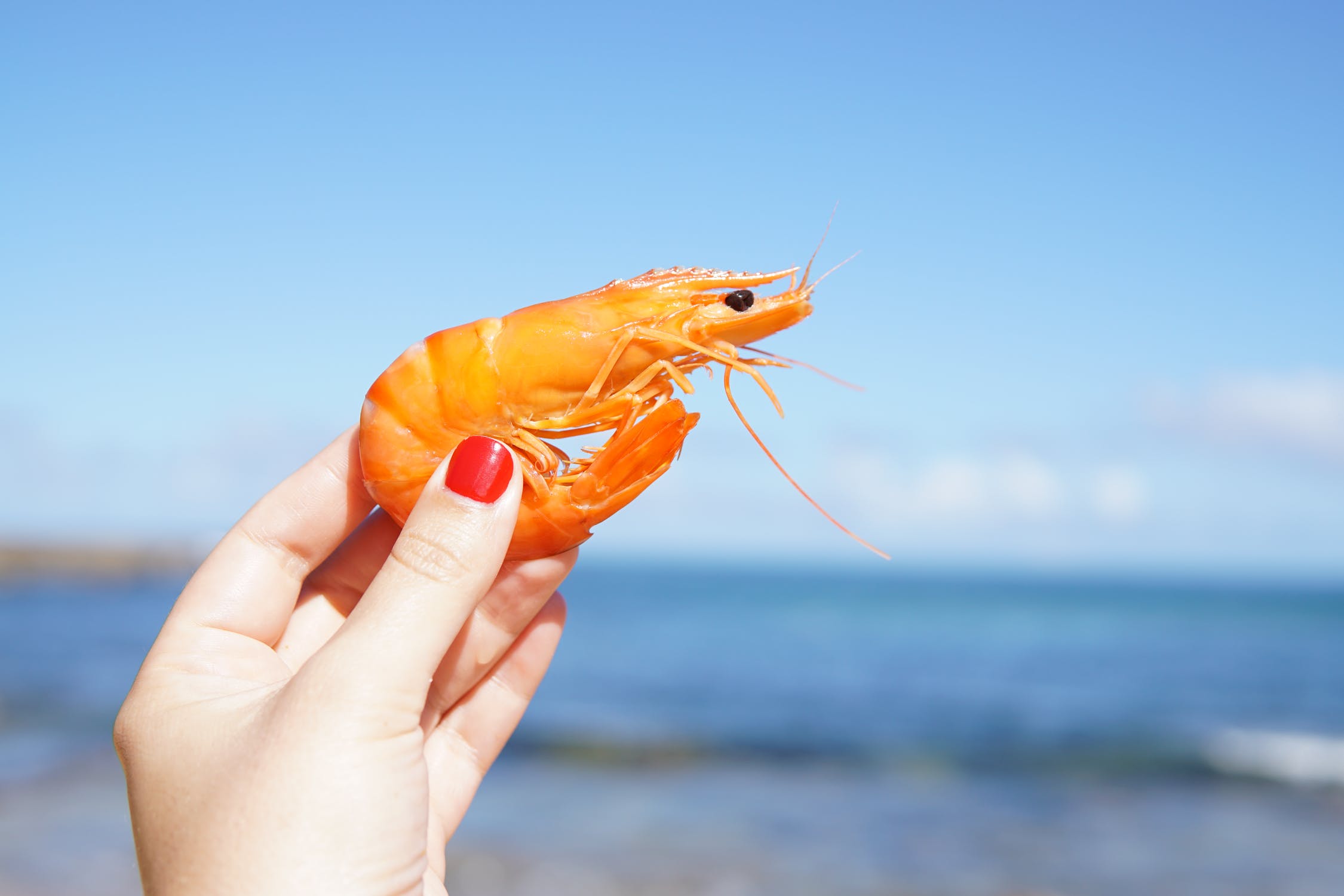 Food imports banned in China after Shrimp tested positive for corona virus – Latest update