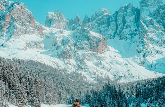 Image by Cristina Gotardi